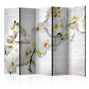 Paraván - The Urban Orchid II