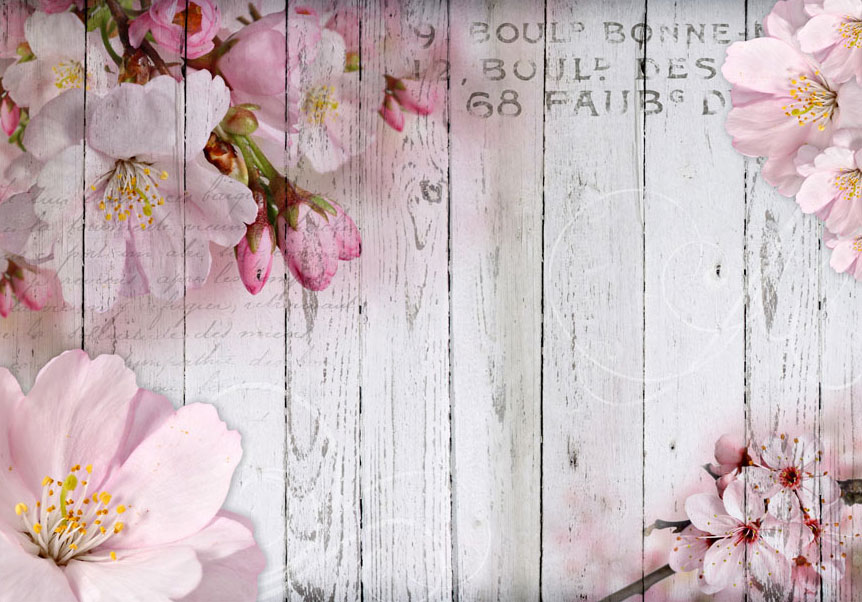 Fotótapéta - Apple Blossoms - Image 6