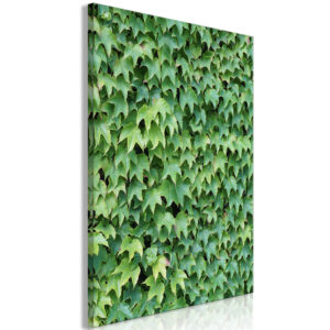 Kép - Thick Ivy (1 Part) Vertical