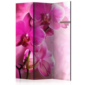 Paraván - Pink Orchid