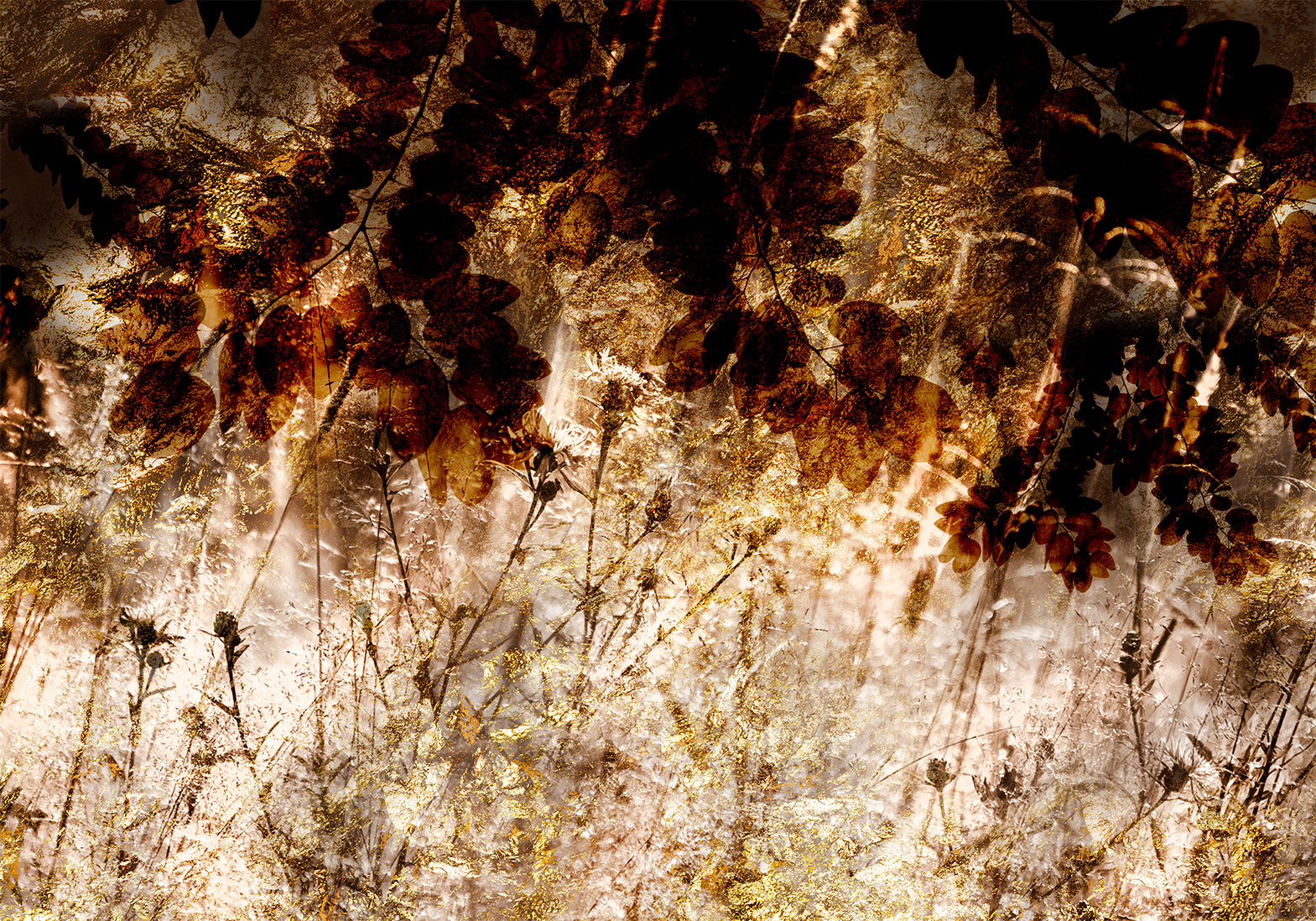 Fotótapéta - Retro Meadow - Image 6