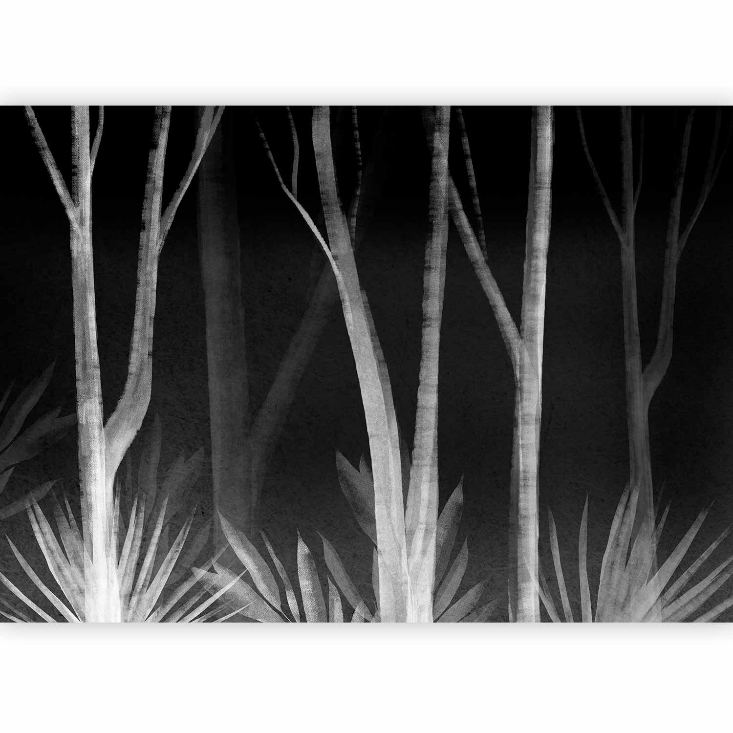 Fotótapéta - Noise of the forest at night - minimalist landscape of white trees on a black background - Image 5