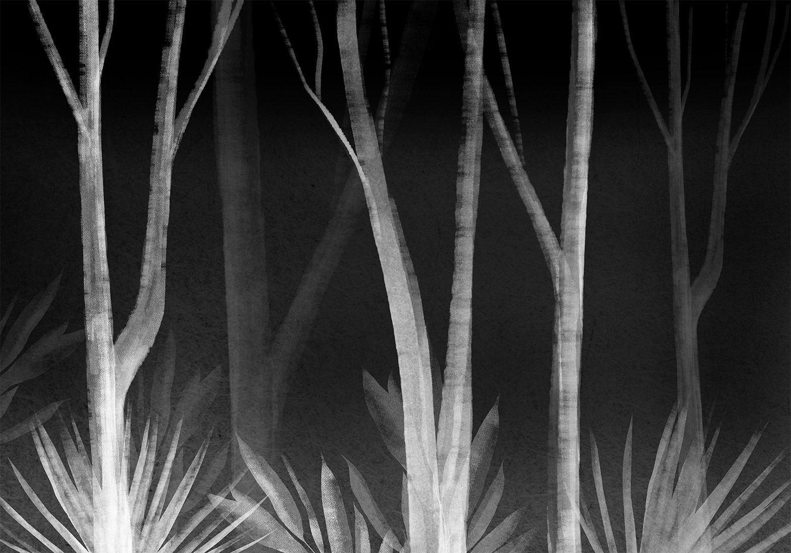 Fotótapéta - Noise of the forest at night - minimalist landscape of white trees on a black background - Image 6