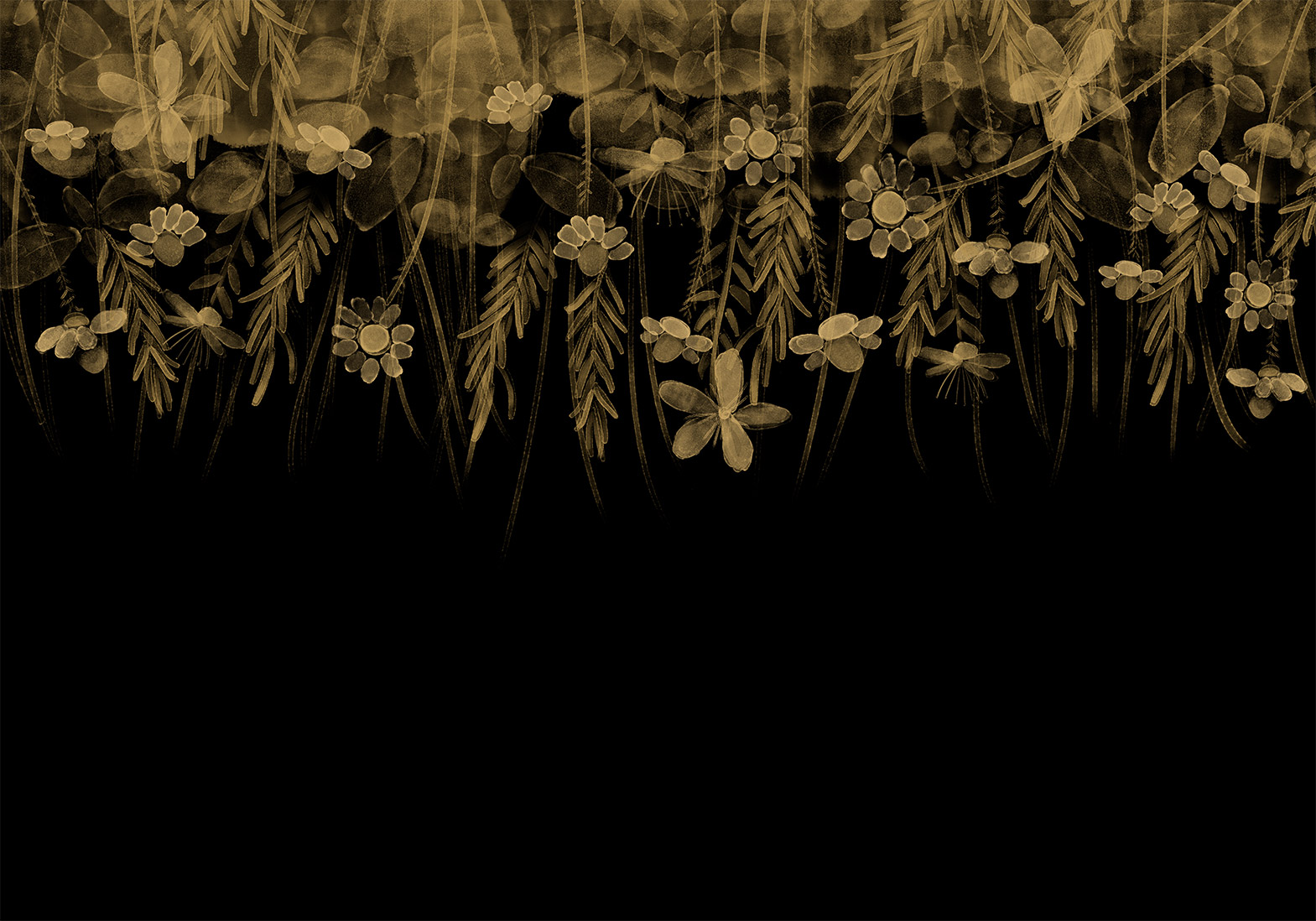 Fotótapéta - Nature landscape - black abstract nature motif with flowers in sepia - Image 6