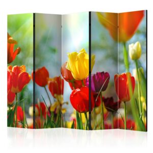 Paraván - Spring Tulips II