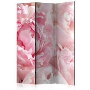 Paraván - Sweet Peonies