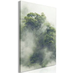 Kép - Foggy Amazon (1 Part) Vertical