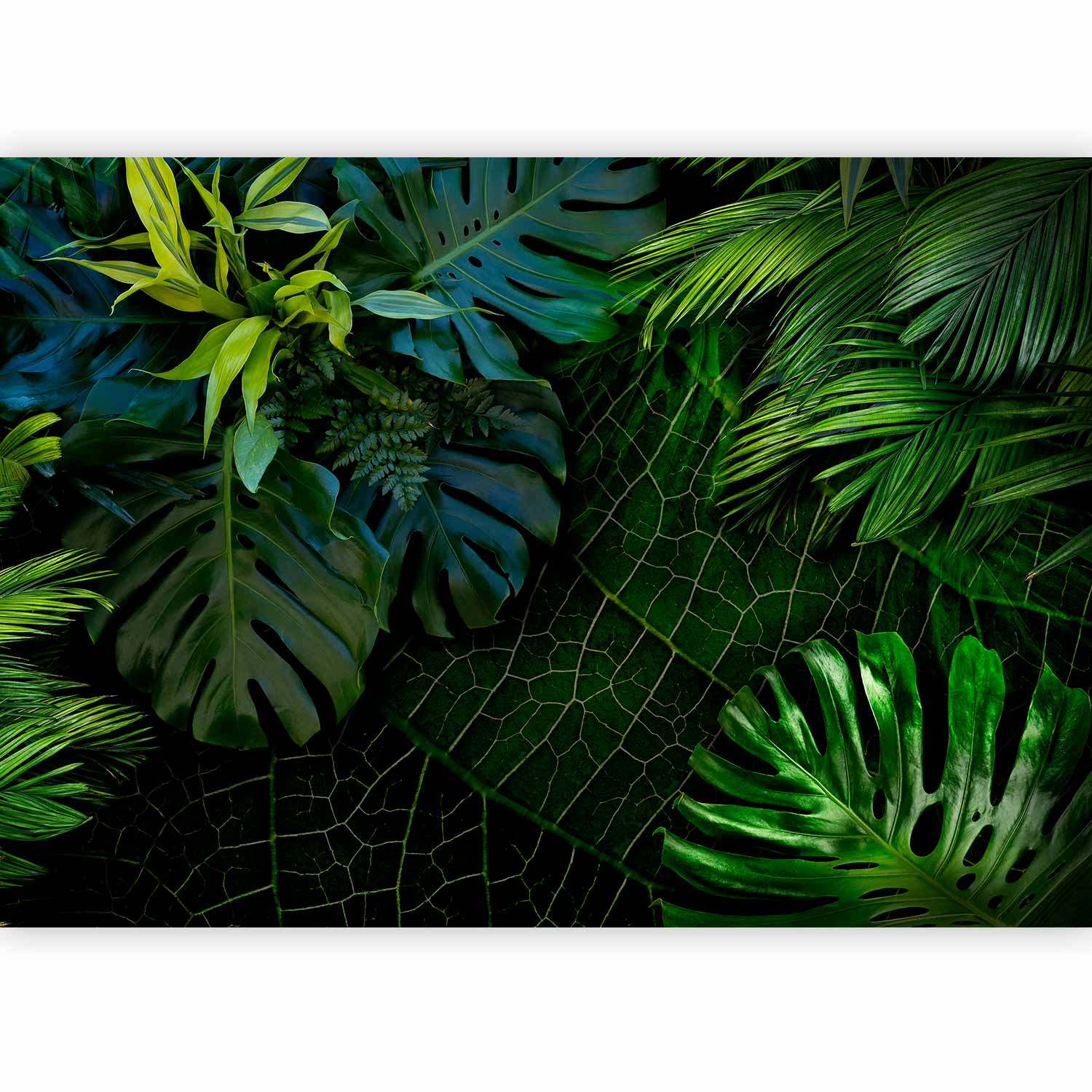 Fotótapéta - Dark Jungle - Image 5