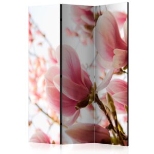 Paraván - Pink magnolia