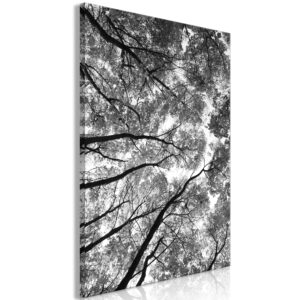 Kép - High Trees (1 Part) Vertical