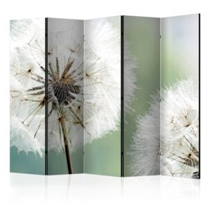 Paraván - Two dandelions II