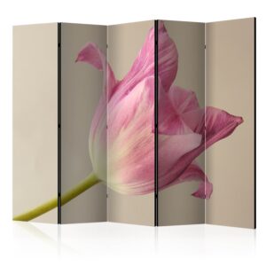 Paraván - Pink tulip II