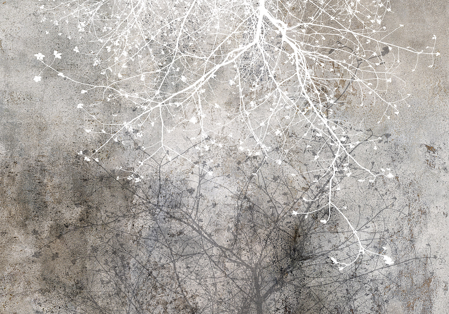 Fotótapéta - Clear Branching - Image 6