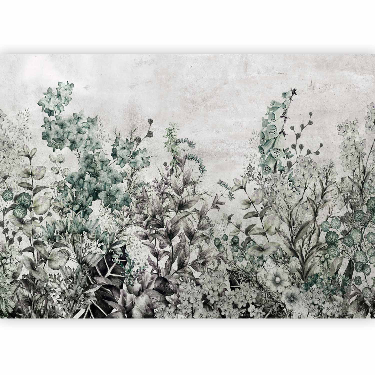 Fotótapéta - Mystery of Herbs - Image 5