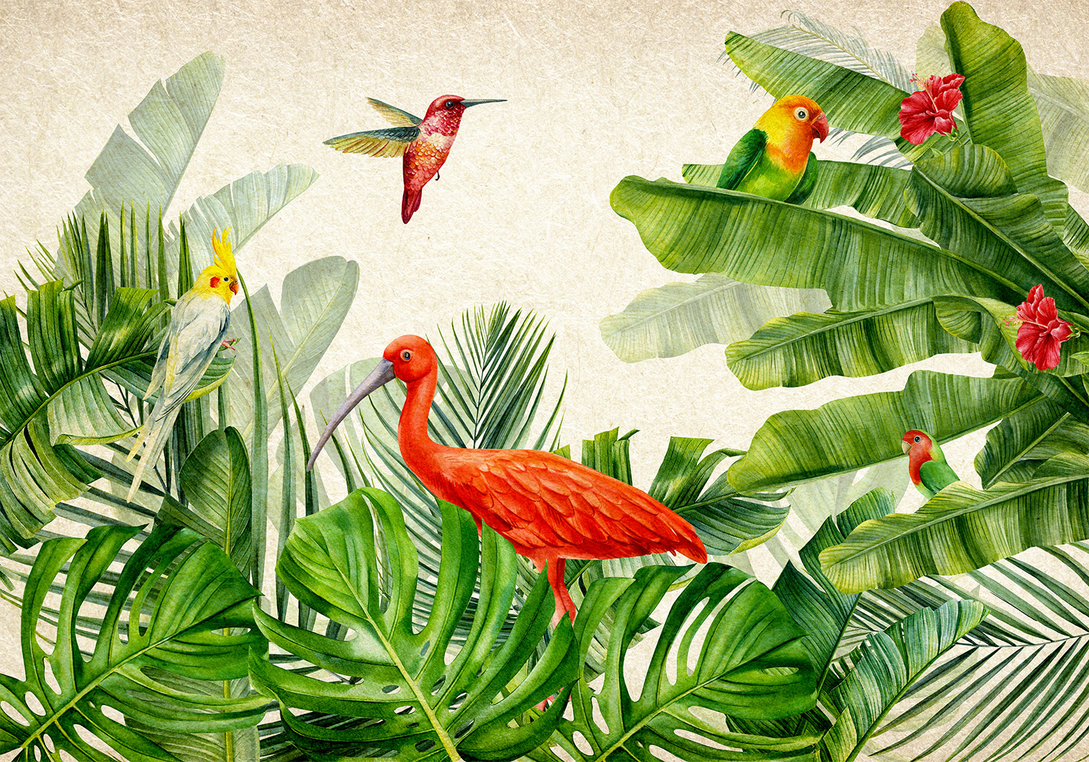 Fotótapéta - Exotic Birds - Third Variant - Image 6