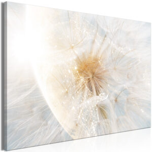Kép - Dandelion in the Sun (1 Part) Wide