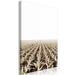 Kép - Corn Field (1 Part) Vertical