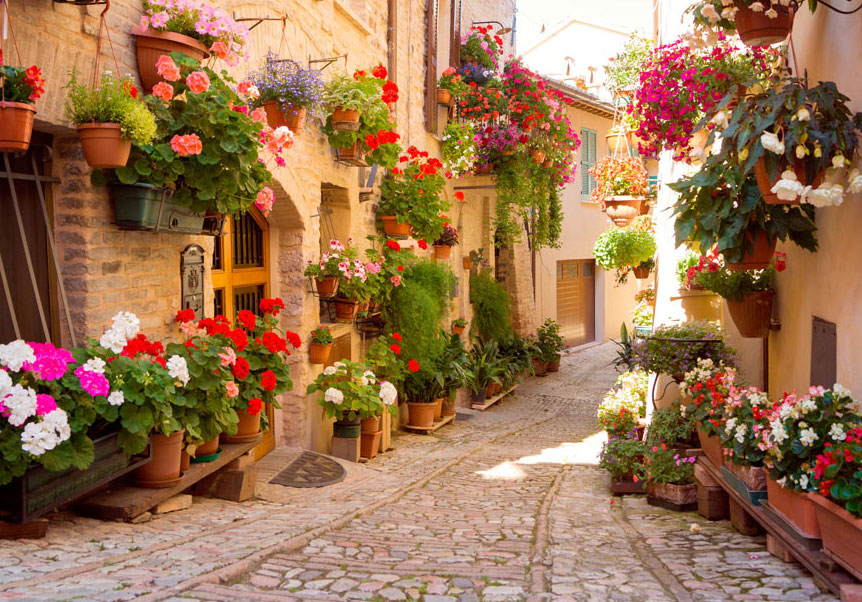 Fotótapéta - The Alley in Spello (Italy) - Image 6