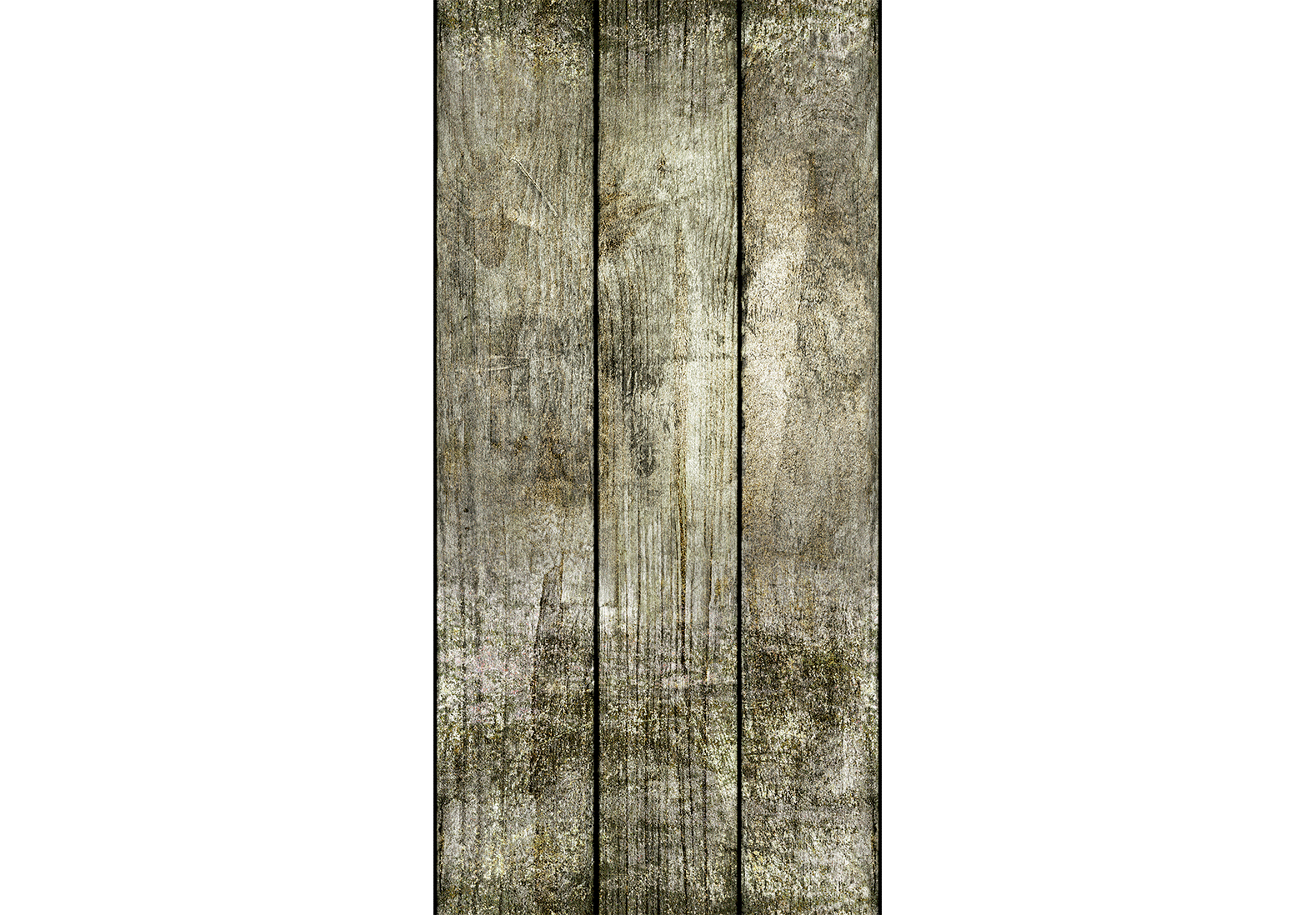 Tapéta - Smell of Resin - Image 6