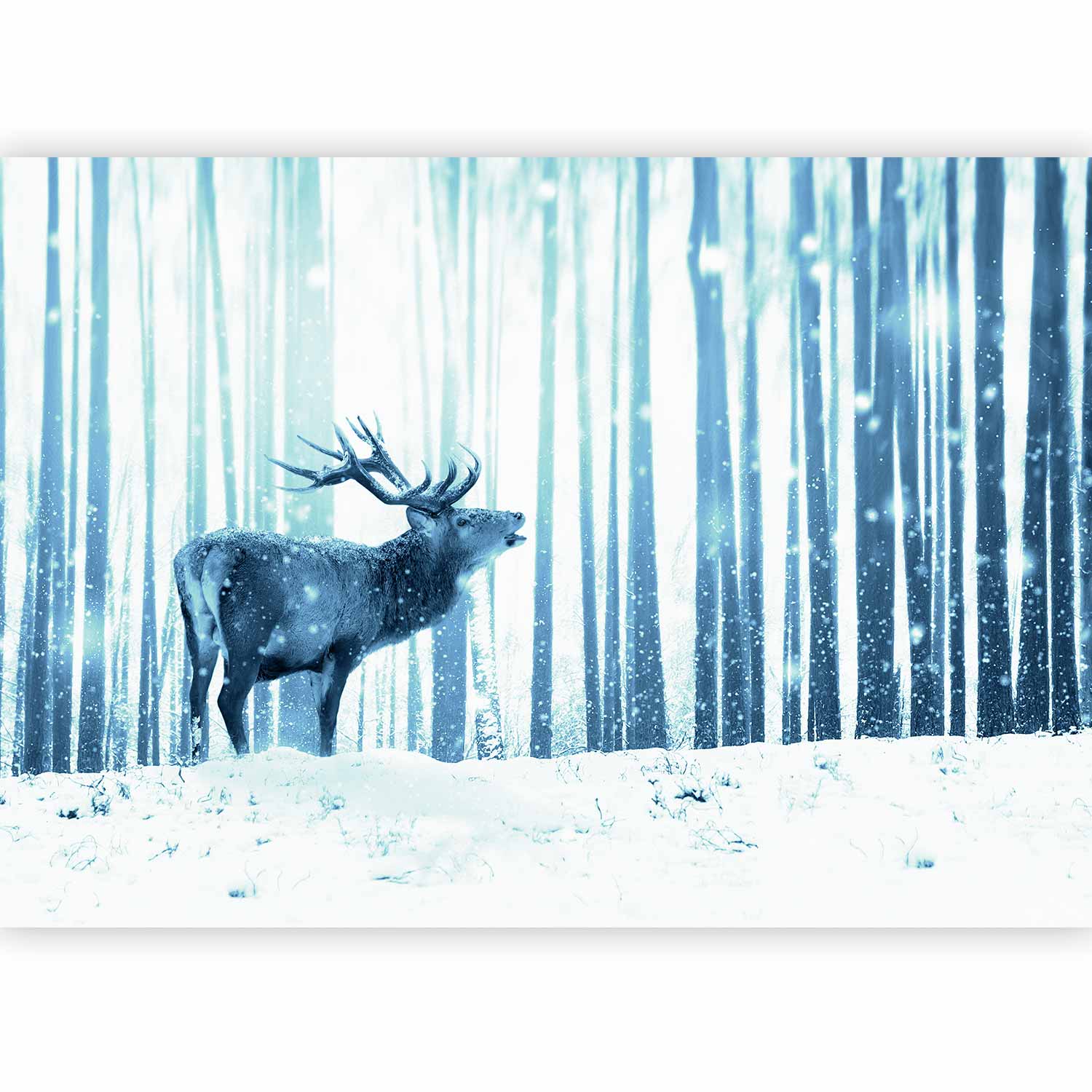 Fotótapéta - Winter animals - deer motif on a forest background in shades of blue - Image 5