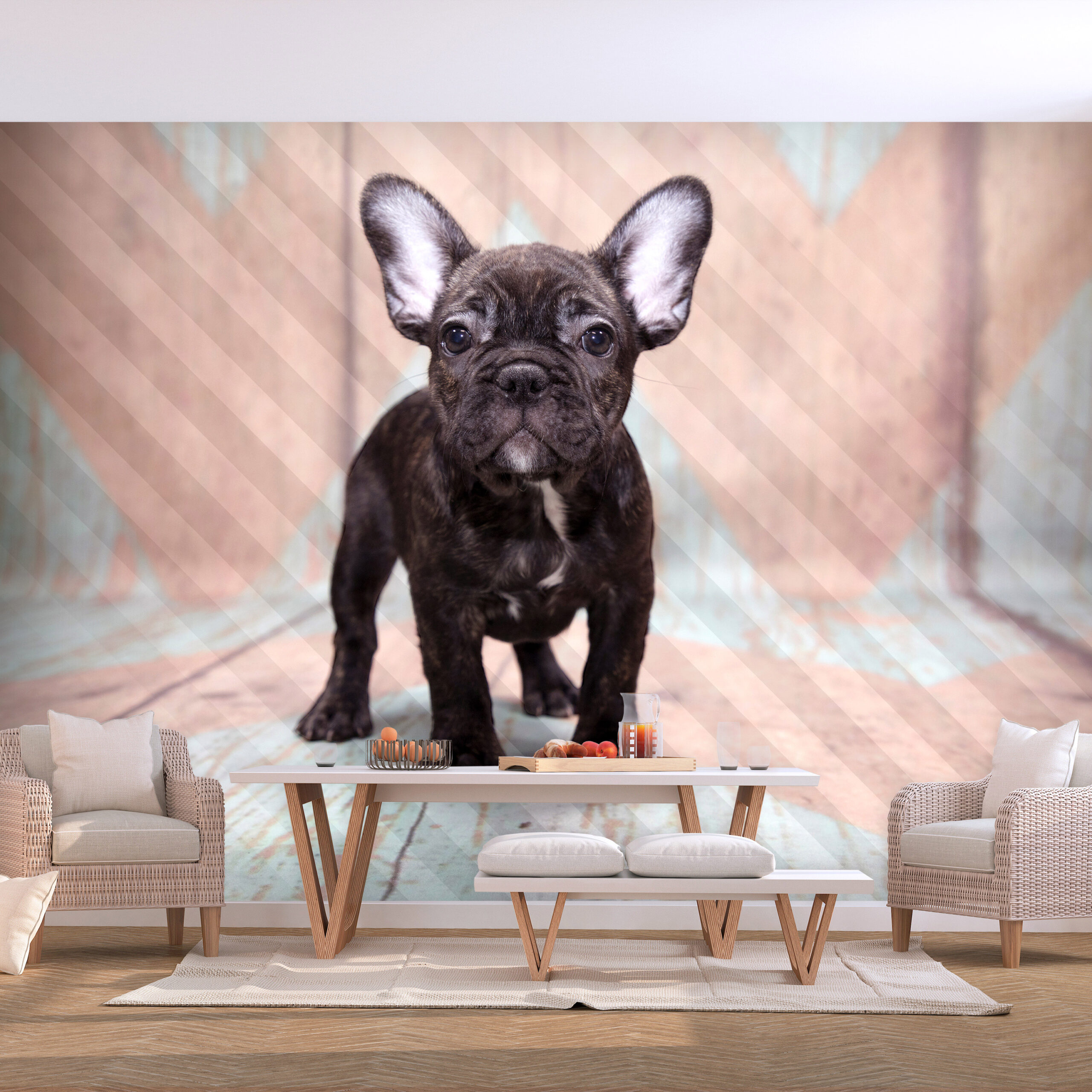 Fotótapéta - French Bulldog - Image 2