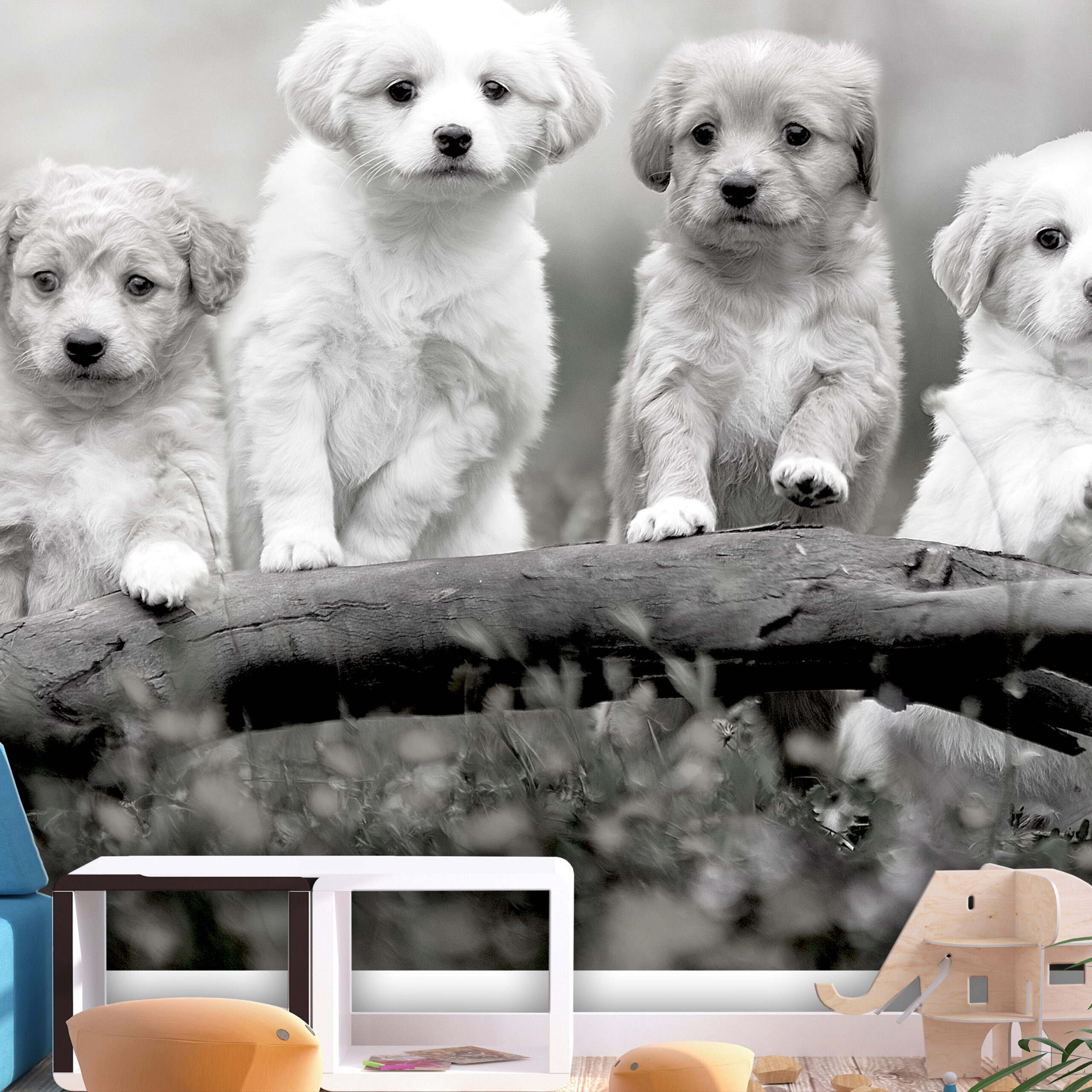 Fotótapéta - Four Puppies - Image 2
