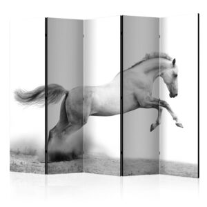 Paraván - White gallop II