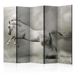 Paraván - Wild Stallion II