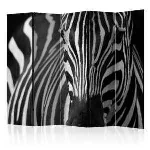 Paraván - White with black stripes II