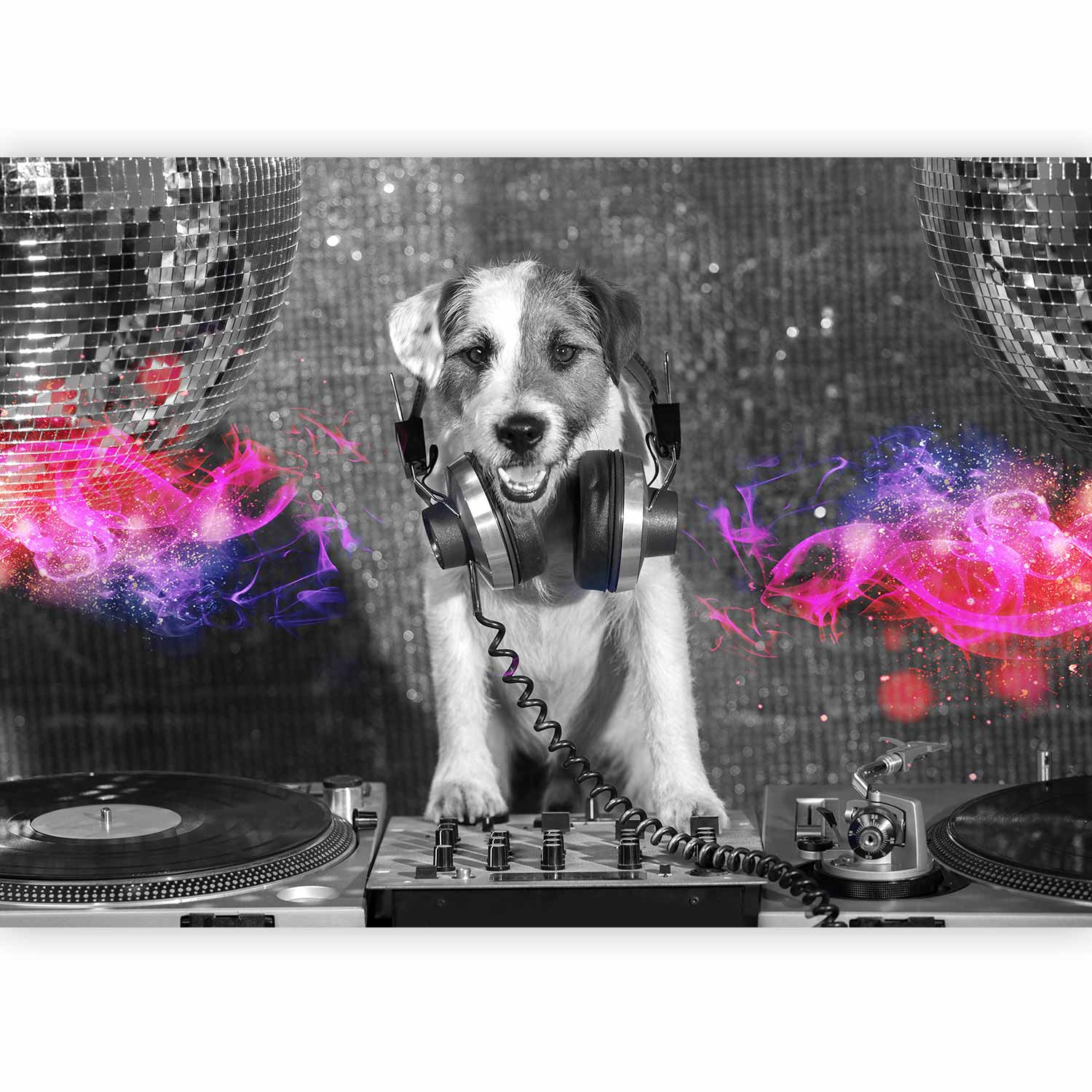 Fotótapéta - DJ Dog - Image 5