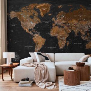 Fotótapéta - World: Stylish Map