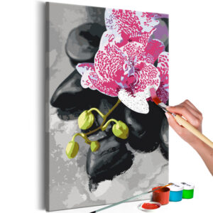 Kifestő - Pink Orchid