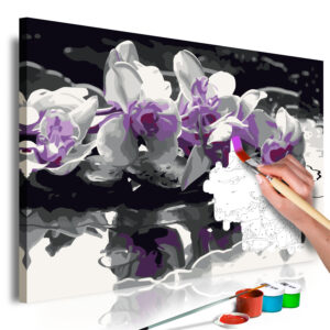 Kifestő - Purple Orchid (Black Background & Reflection In The Water)