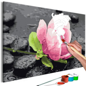 Kifestő - Pink Flower and Stones