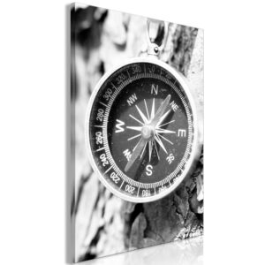Kép - Direction of the Road (1-part) - Black and White Compass on Tree Background