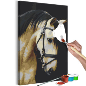 Kifestő - Horse Portrait