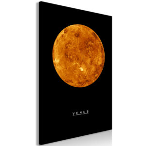 Kép - Venus (1 Part) Vertical
