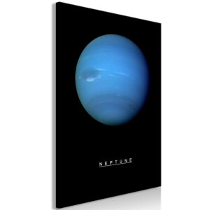 Kép - Neptune (1 Part) Vertical